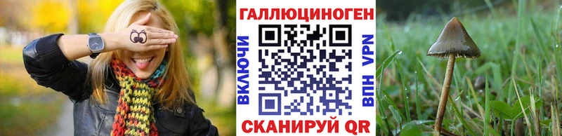 Купить  Красноармейск  Галлюциногенные грибы мухоморы 
